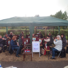 The Brew Forest Nov 2025